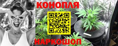 шишки Ирбит