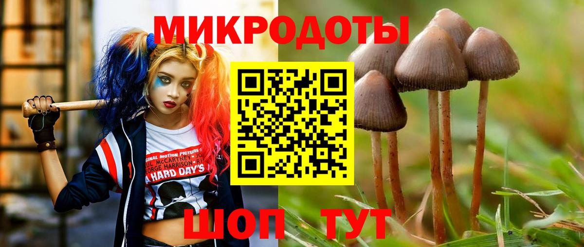 магазин продажи наркотиков  Вход с VPN  Майкоп  Псилоцибиновые грибы Magic Shrooms 